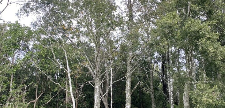 Hermosa casa nueva en parcela cerca de Villarrica