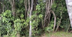 Hermosa casa nueva en parcela cerca de Villarrica